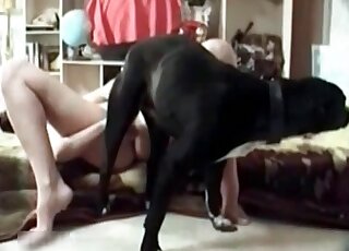 Hot slut is happy to spread her legs wide open to get dog's dick inside