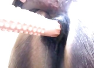 Sexy horse pussy is going to get fucked by a massive fake cock