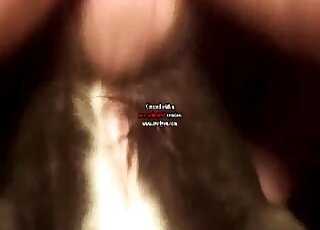 Guy with a sexy set of nuts fucking a kinky creature from behind