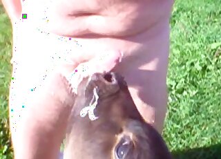 Fat man shows his big belly outdoors while letting this beast scuk