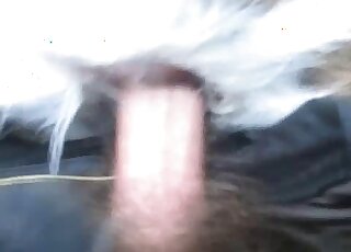 Guy's veiny penis is being inserted from behind into that tight hole