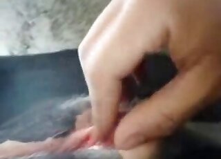 Intense pornographic scene dealing with hardcore bestiality banging