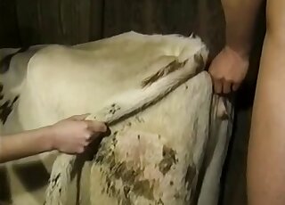 سيدة مثيرة تمارس الجنس مع رجل فوق حيوان، وهذا أمر جامح