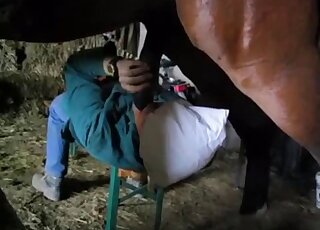 Huge stallion cock is going to be featured heavily in free zoo XXX