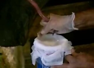 Pig's strange-looking cock is being jerked off in a hot fashion here