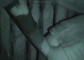 Nighttime zoophilic experience for a guy that bottoms for a horse