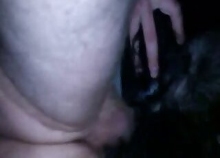 Zoophile with a nice penis entering this black dog's tight hole