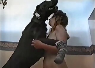 Bushy pussy babe is going to get fucked by a black dog right here