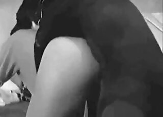 Curious dog sniffs mistress before pounding her wet pussy