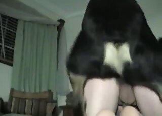 Amateur guy on knees enjoys getting sodomized by horny dog