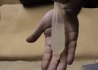 Gentleman drains sperm and piss from hard dog cock into condom