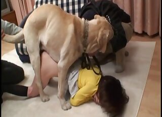Slim Asian chick is fucked up the hairy pussy by a cute Labrador