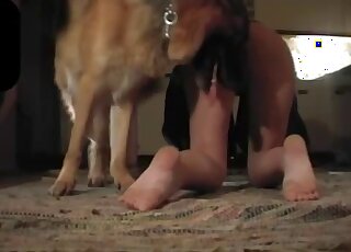 Amateur babe in jacket has bestiality seance with German Shepherd