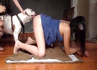 Calm hound gets cock stroking from masked brunette