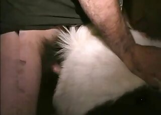 Horse gets licked and fingered by dude before banging