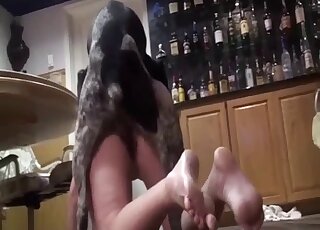 Pet dog licks and bangs the pussy of mature amateur broad