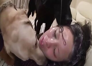 Stunning Asian brunette enjoys bestiality 3some with aroused Labs