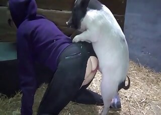 Crotchless babe bends over for doggy-style drilling from horny pig