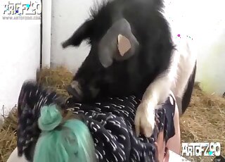 Green-haired chick gets banged and creampied by a fat pig in a barn