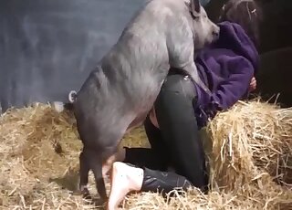 MILF in crotchless pantyhose lets chubby black pig bang her hard