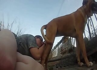Dog is enjoying outdoor action that shows a chubby lady fucking hard