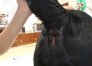 Skinny girl with red hair is going to get throated and fucked hard