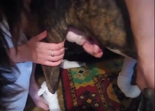 Nude amateur woman filmed playing with the dog's dick like a slut