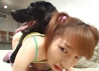 Black dog grants tight Japanese intense porn from behind