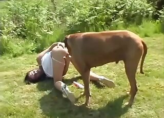 Redhead reaches orgasm from trying outdoor zoo sex with her dog
