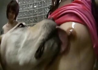 Japanese sluts share dog cock in sloppy threesome and swallow jizz together