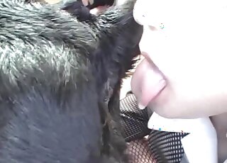 Japanese office babe fucked by a dog while her colleagues watching