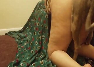 Fat slut dog fucked in the ass and soaked in fresh dog sperm