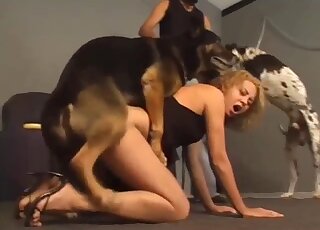 Amateur blonde filmed putting a lot of dog dick in her wet holes