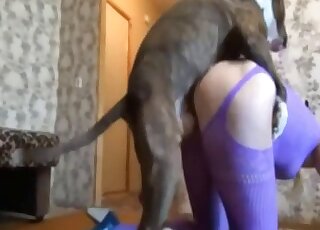 Skinny blonde model cam fucked by her furry dog and jizzed on ass