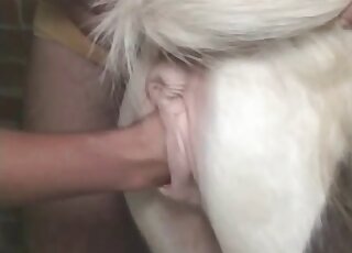 Gay Latino fist fucks tiny horse before fucking it in crazy manners