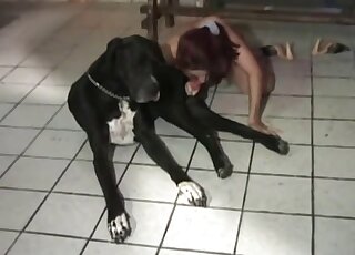 Home animal porn leads nude redhead to swallow and throat cock