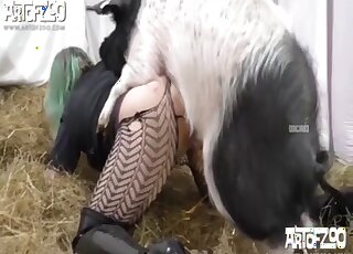 Big ass slut endures heavy pig cock in ruthless XXX perversions