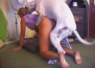 Wife tries a big dog's wet dick in restless homemade zoophilia