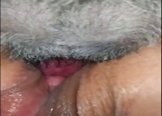 Large pussy lips showcased in a porno with a sexy animal in UHD