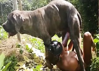 Sexy horse will use its full length to fuck her throat outdoors