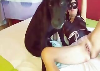 Colorful beauty showing her GF her affinity for red animal penises