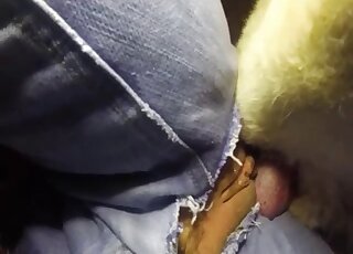 Ripped jeans babe is getting fucked from behind by a dirty mutt