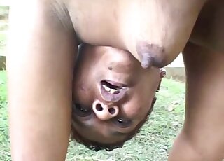 Good girl with bouncing boobies getting passionate with a horse
