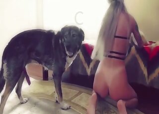 Masked chick with a wet vagina agrees to let two dogs fuck her