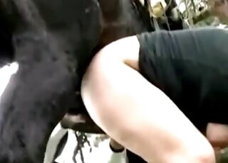 Black stallion is enjoying hardcore action with a redheaded slag