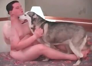 Un zoófilo guarro se folla a su perro en el dormitorio en un vídeo porno de zoológico