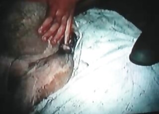 Nasty dude bangs a submissive animal in a retro zoo porn vid