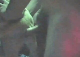 Nasty guy explores tight hole of his dog with his thick hard cock