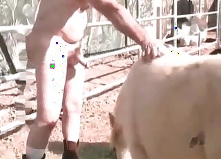 Dude treats his sexual passion by fucking a pony from behind