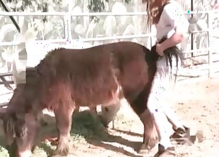 Dude treats his sexual passion by fucking a pony from behind